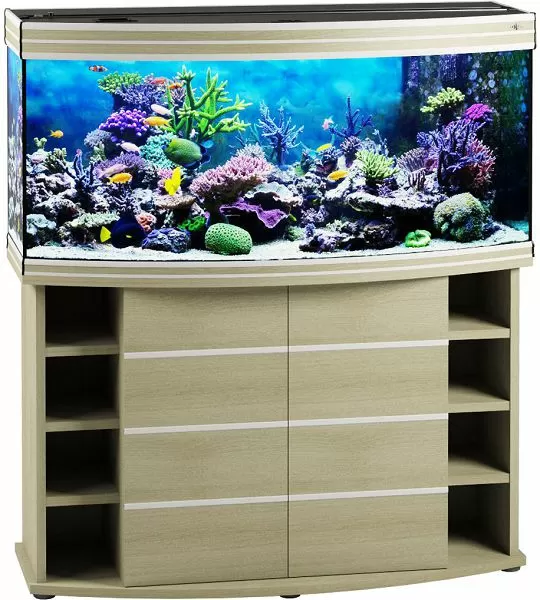 Морские аквариумы с оформлением