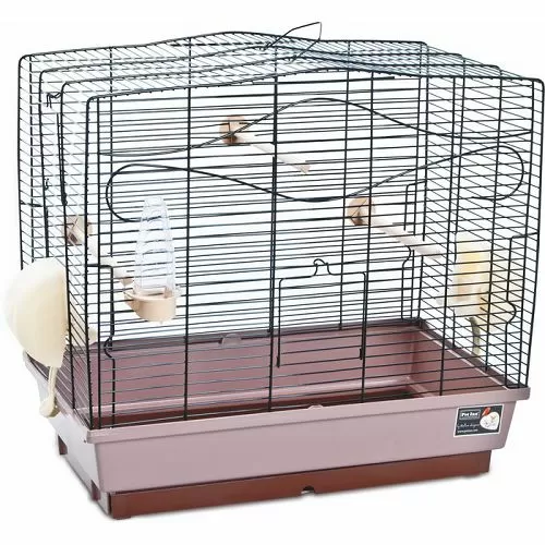 Pet Inn Клетка ORCHIDEA для птиц, 2 кормушки, поилка, 2 жердочки, 59х34х46,5 см Pet Inn Клетка ORCHIDEA для птиц, 2 кормушки, поилка, 2 жердочки, 59х34х46,5 см