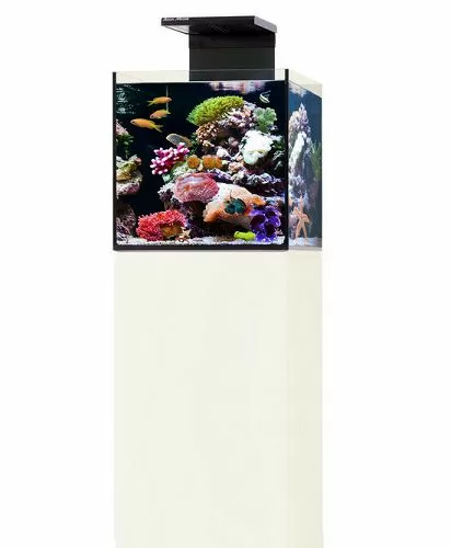 Aqua Medic "Cubicus CF" аквариум нанорифовый с тумбой и внешней фильтрацией, 140 л