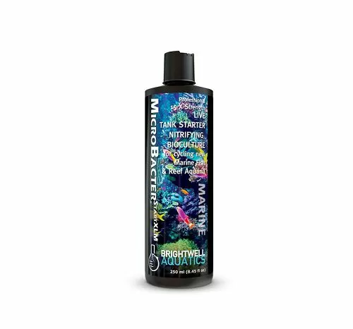 Суспензия микробная Brightwell aquatics MicroBacter START XLM для аквариумной фильтрации, 250 мл