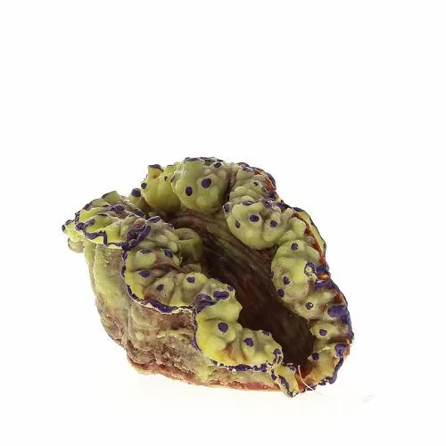 Коралл VITALITY мягкий, пластик, желто-красный, 15x10,8x10,8 см