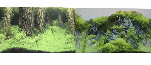 Фон PRIME двусторонний Затопленный лес/Камни с растениями, 30х60 см