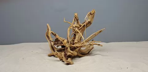 Коряга Сакура S, 15-25 см