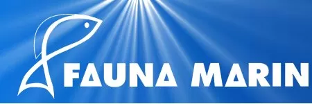 Fauna Marin Fauna Marin