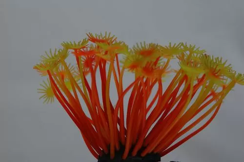 Коралл VITALITY силикон, желто-красный, 5х5х10 см