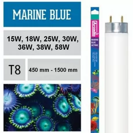 Лампа флуоресцентная Arcadia Т8 Marine Blue 420 Actinic 36 Вт, 1200 мм Лампа флуоресцентная Arcadia Т8 Marine Blue 420 Actinic 36 Вт, 1200 мм