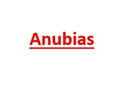 Anubias