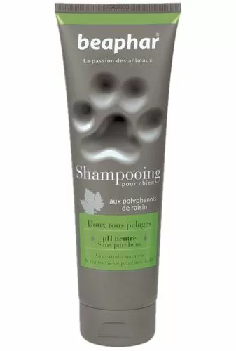 Шампунь Beaphar Shampooing Doux tous pelages универсальный для собак, Зеленый, 250 мл