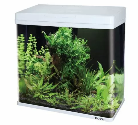 Аквариум BOYU с LED светильником и фильтром, 45 л, 480x250x490 мм, белый Аквариум BOYU с LED светильником и фильтром, 45 л, 480x250x490 мм, белый