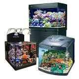 Морские аквариумы
