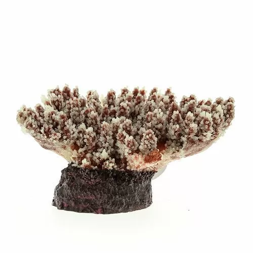 Коралл VITALITY мягкий, пластик, перламутр, 21х18х8,5 см Коралл VITALITY мягкий, пластик, перламутр, 21х18х8,5 см