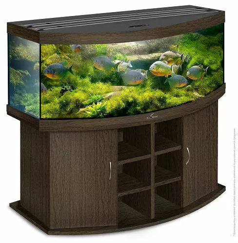 Аквариум Biodesign ПАНОРАМА 600 без светильника, 600 л, 161х66х76 см