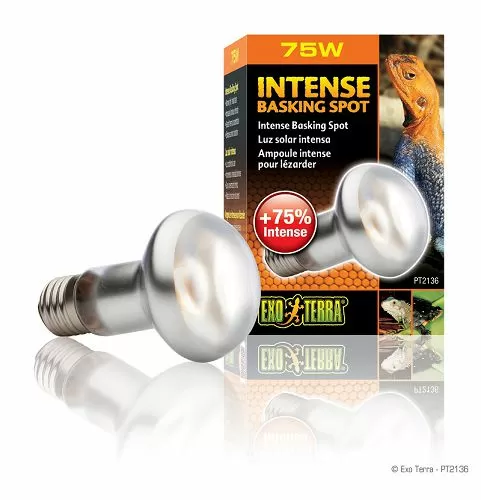 Exo Terra INTENSE BASKING SPOT террариумная лампа дневного света для баскинга, 75 Вт