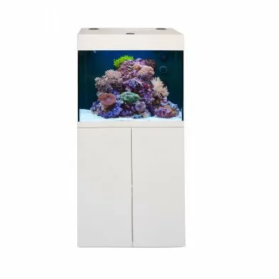 Aqua Medic "Kauderni" аквариум нанорифовый с тумбой, белый, 200 л