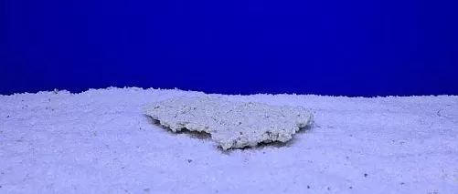 Камень Рифовый Белый, 18х12х3 см