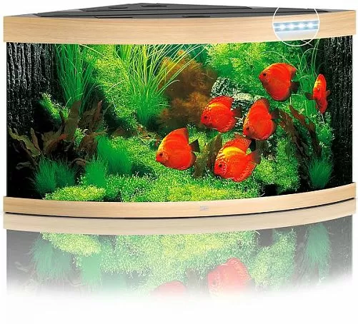 Аквариум JUWEL TRIGON 350 LED угловой с оборудованием, 350л, светлое дерево, 123х87х65см