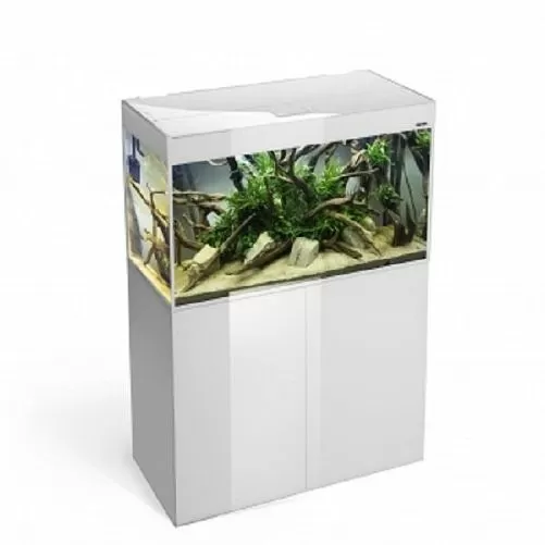 Аквариум Aquael GLOSSY 100 D&N, белый, LT 14W SUNNY D&N 2.0-2 шт., 215 л