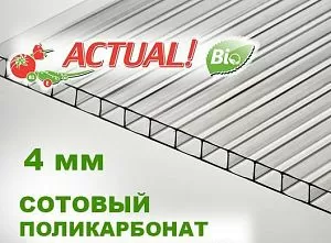 Сотовый поликарбонат Актуаль Био, 100×70 см, толщина 4 мм