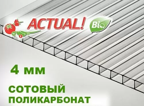 Сотовый поликарбонат Актуаль Био, 100х70 см, толщина 4 мм