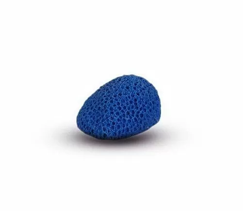 Коралл Мозговик Малый Синий 5.5x4.5x3.5 см