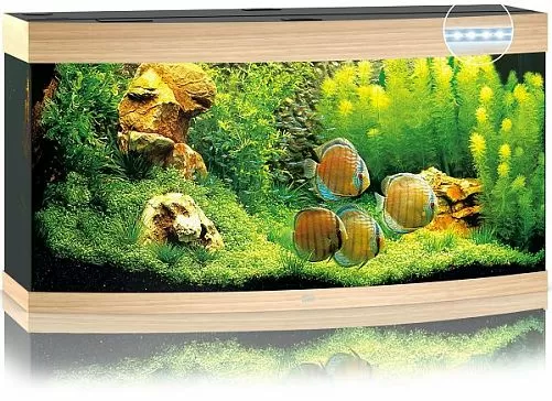 Аквариум JUWEL Vision 450 LED панорамный с оборудованием, светлое дерево, 450л, 1510х610х640 мм