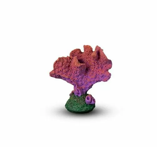 Коралл Акропора Темно-фиолетовый 9х5х10 см