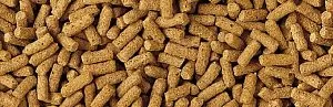 ТetraPond Wheatgerm Sticks корм для карпов Кои в осенне-зимний период, палочки 10 л
