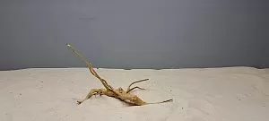 Коряга Сакура мини, до&nbsp;10&nbsp;см