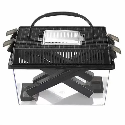 Контейнер для живого корма Gloxy CB-3, 27х17х18 см