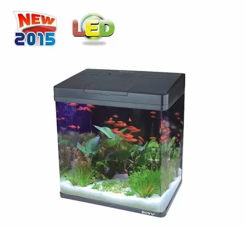 Аквариум BOYU с LED светильником и фильтром, 31 л, 400x230x450 мм Аквариум BOYU с LED светильником и фильтром, 31 л, 400x230x450 мм
