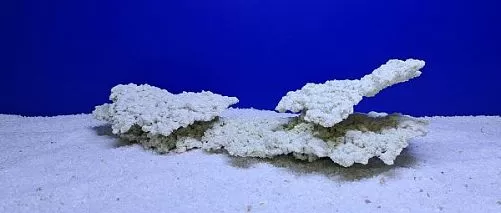 Камень Рифовый Белый, 43х18х12 см