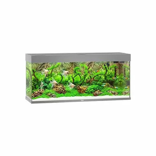 Аквариум JUWEL Rio 240 LED прямоугольный с оборудованием, 240л, серый, 1210*410*550мм