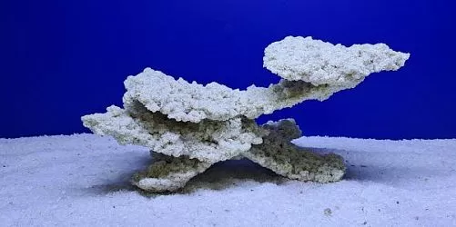 Камень Рифовый Белый, 31х21х16 см