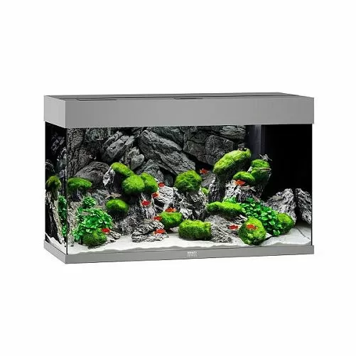 Аквариум JUWEL Rio 125 LED прямоугольный с оборудованием , 125 л, серый, 810*360*500мм