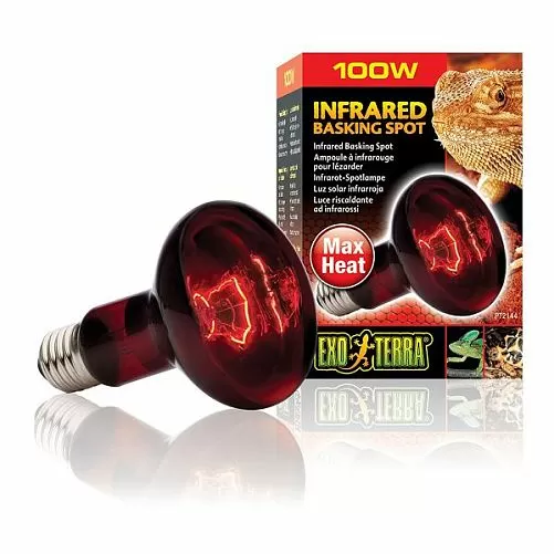 Лампа инфракрасная Exo Terra Infrared Basking Spot для обогрева рептилий, 100 Вт Лампа инфракрасная Exo Terra Infrared Basking Spot для обогрева рептилий, 100 Вт