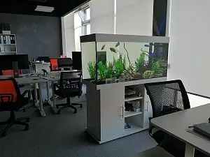 Аквариум АТОЛЛ с&nbsp;тумбой, оборудованием и&nbsp;оформлением, 370&nbsp;л