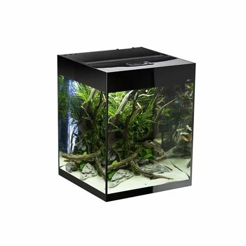 Аквариум Aquael GLOSSY 50 D&N черный, с лед-освещением, 135 л Аквариум Aquael GLOSSY 50 D&N черный, с лед-освещением, 135 л