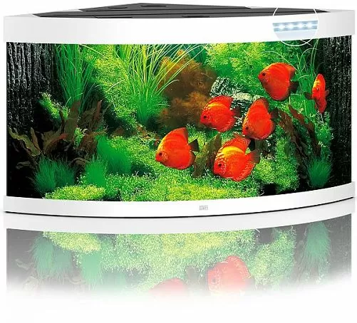 Аквариум JUWEL TRIGON 350 LED угловой с оборудованием, 350л, белый, 123х87х65см