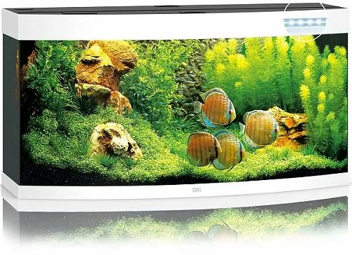 Аквариум JUWEL VISION 260 LED панорамный с оборудованием, 260л, белый, 121х46х64см