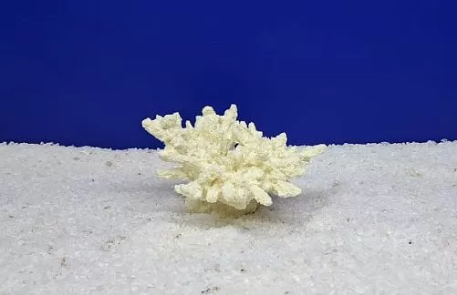 Кр-200 Коралл Корона Белый, 13х10х6.5 см
