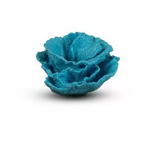 Коралл Роза Голубой 9х9×6 см