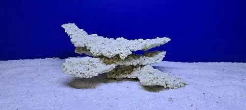 Камень Рифовый Белый, 27х18х13 см