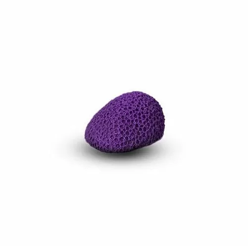 Коралл Мозговик Малый Фиолетовый 5.5x4.5x3.5 см