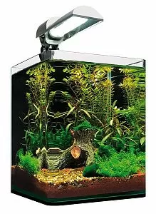 Нано-аквариум Dennerle NanoCube 10 20х20&times;25&nbsp;см, 10&nbsp;л