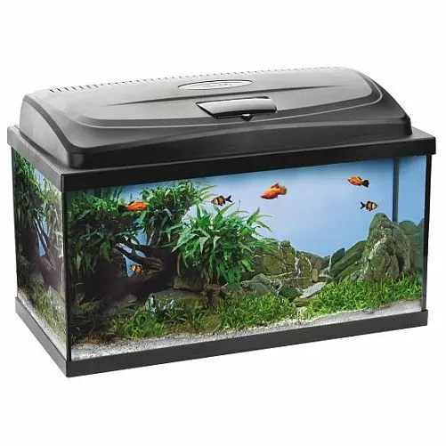 Aquael Classic PAP 60 аквариум прямой, 54 л