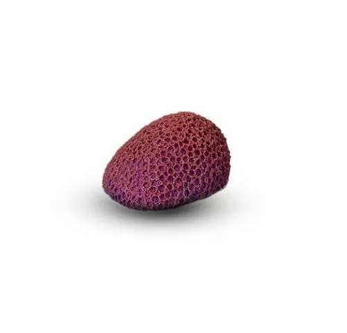 Коралл Мозговик Малый Темно-фиолетовый 5,5x4,5x3,5 см