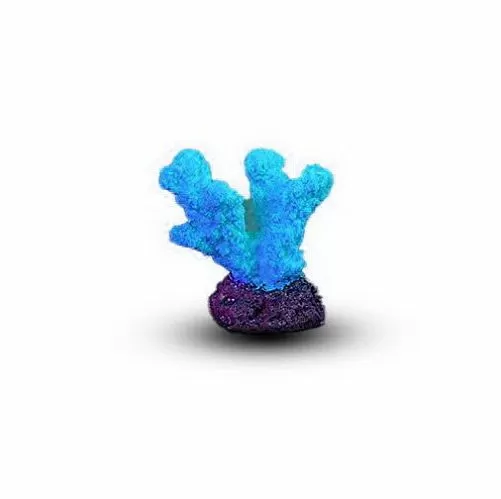 Коралл Рога Голубой 5,5х3,5х5 см