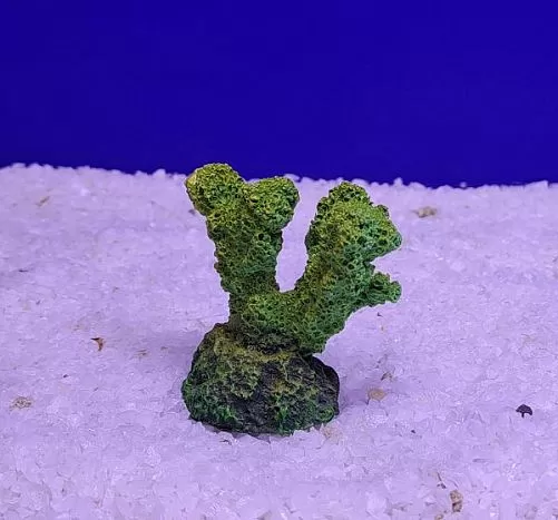 Кр-617 Коралл рога, Зелено-Желтый 5,5х3,5х5 см