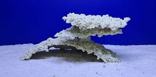 Камень Рифовый Белый, 30х21х15 см