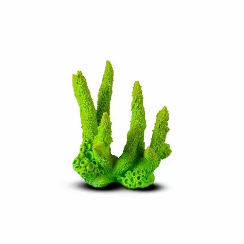 Коралл Коралловый пальчик Зеленый 13,5х14х11,5 см